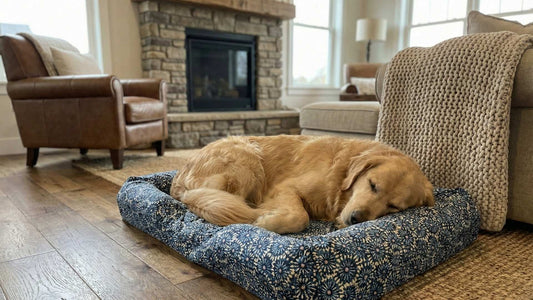 a golden retriever asleep on a washable dog bed cover