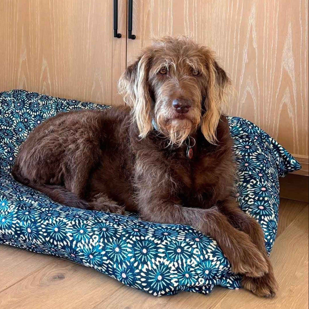 Dog lying on a blue floral-patterned dog bed cover.